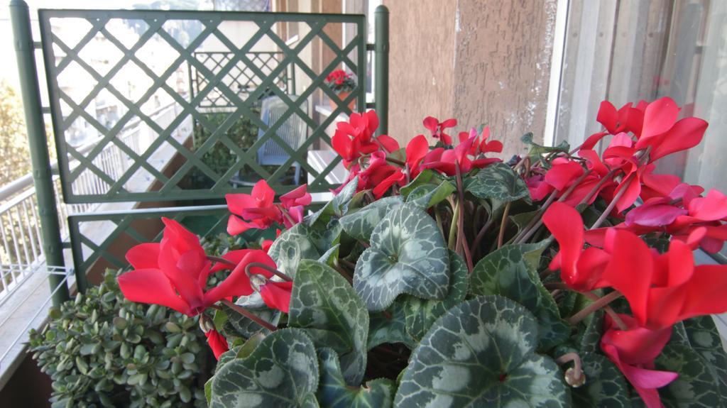 Bed & Breakfast La Perla Di 2*